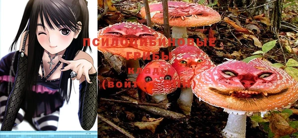 марихуана Баксан