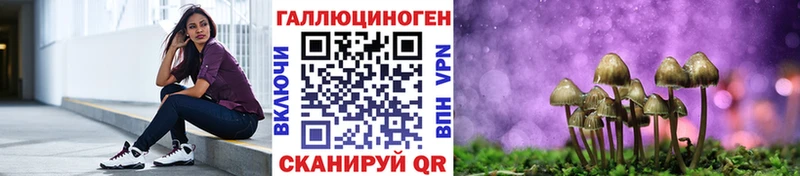 даркнет сайт  Ульяновск  Псилоцибиновые грибы прущие грибы 